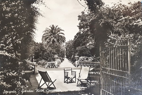 Cartolina - Sorrento - Giardini - Hotel Cocumella - 1953