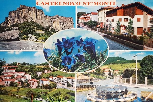 Cartolina - Castelnovo Ne'Monti - 1972