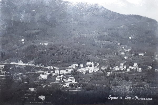Cartolina - Ognio - Panorama - 1956