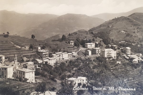 Cartolina - Calcinara - Uscio - Panorama - 1967