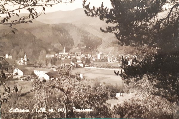 Cartolina - Calizzano - Panorama - 1955