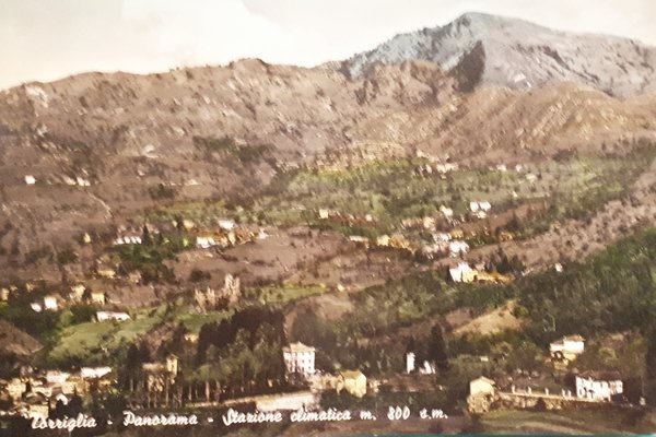 Cartolina - Torriglia - Panorama - Stazione climatica - 1966