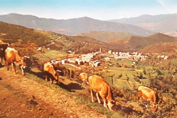 Cartolina - S. Stefano d'Aveto e fondo valle - 1970