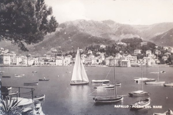 Cartolina - Rapallo - Poesia del Mare - 1951