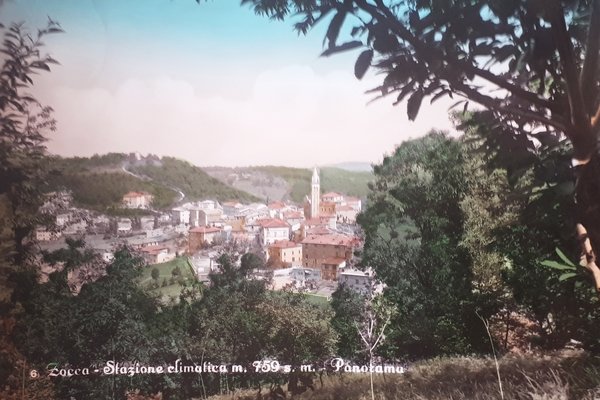 Cartolina - Zocca - Stazione climatica - Panorama - 1958