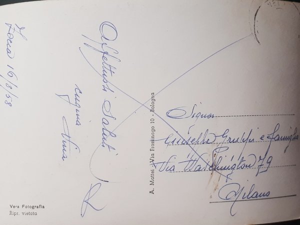 Cartolina - Zocca - Stazione climatica - Panorama - 1958