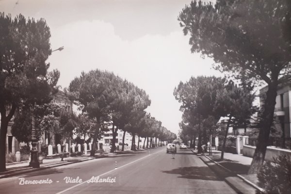 Cartolina - Benevento - Viale Atlantici - 1962
