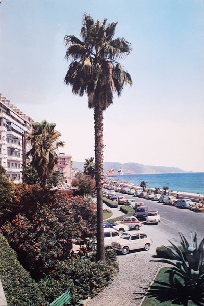 Cartolina - Loano - Giardini di Piazza Mazzini - 1967