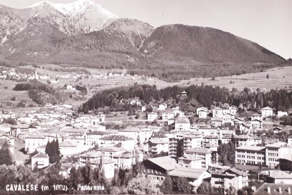 Cartolina - Cavalese - Panorama - 1970