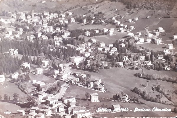 Cartolina - Selvino - Stazione Climatica - 1962