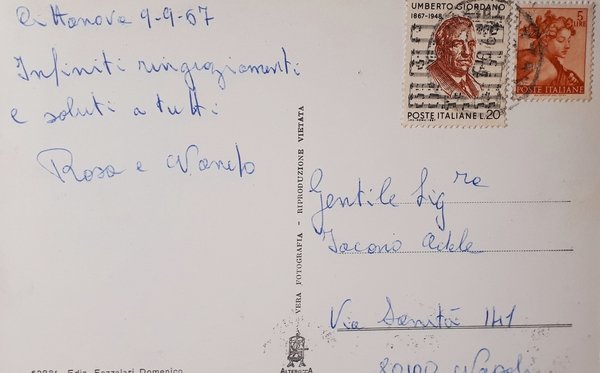 Cartolina - Cittanova - Panorama - 1967