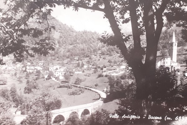 Cartolina - Valle Antigorio - Baceno - 1954