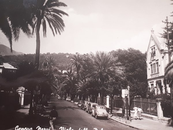 Cartolina - Genova Nervi - Viale delle Palme - 1958