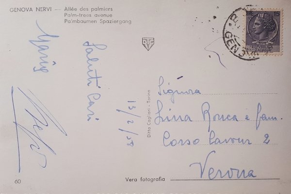 Cartolina - Genova Nervi - Viale delle Palme - 1958