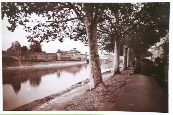 Cartolina - Pisa - Porta a Piaggie - 1940 ca.