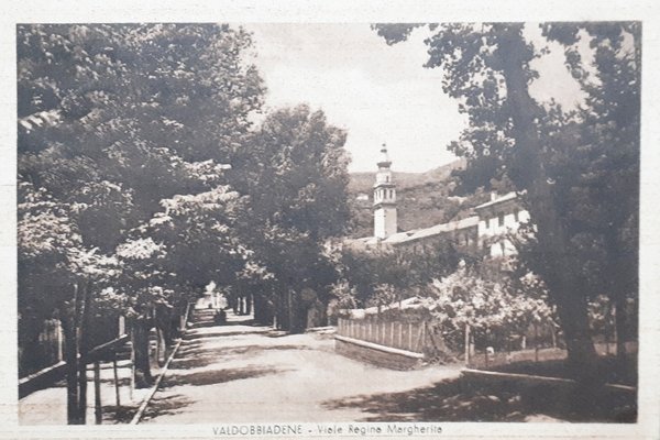 Cartolina - Valdobbiadene - Viale Regina Margherita - 1941