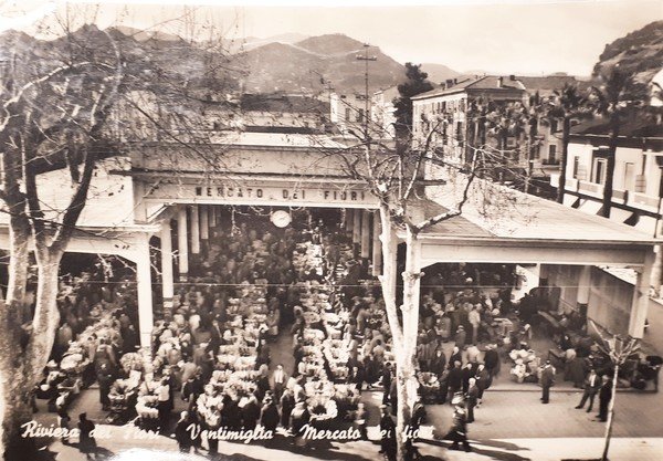 Cartolina - Riviera dei Fiori - Ventimiglia - Mercato dei …