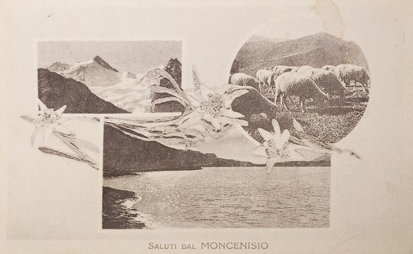 Cartolina - Saluti dal Moncenisio - 1931