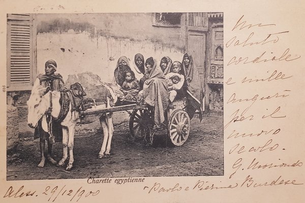 Cartolina - Egypte - Charette egyptienne - 1900