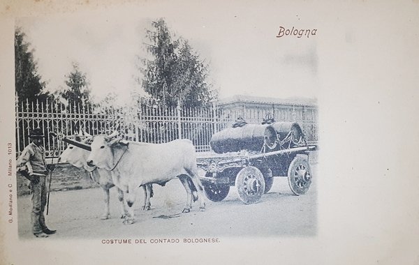 Cartolina - Bologna - Costume del Contado Bolognese - 1900 …