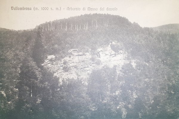 Cartolina - Vallombrosa - Arboreto di Masso del diavolo - …