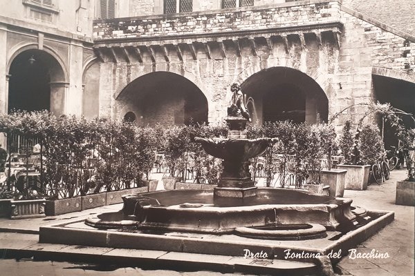 Cartolina - Prato - Fontana del Bacchino - 1958