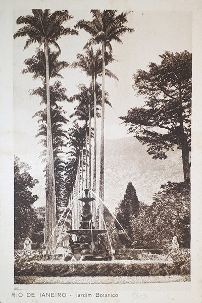 Cartolina - Brasile - Rio De Janeiro - Jardim Botanico …