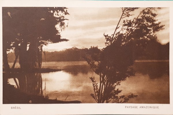 Cartolina - Brésil - Paysage Amazonie - 1930 ca.