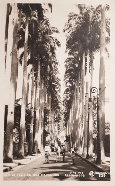 Cartolina - Brasile - Rio De Janeiro - Rua Paysandù …