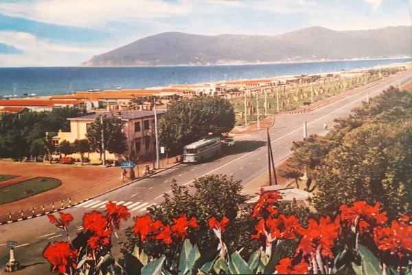 Cartolina - Marina di Carrara - Lungomare - 1961 | Immagine principale