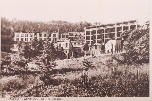 Cartolina - L'Alpina - Alpemugo ( Sondrio ) - 1950 …