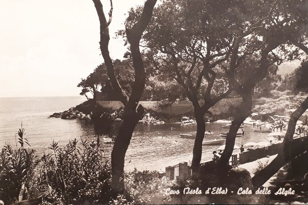 Cartolina - Cavo ( Isola d'Elba ) - Cala delle …