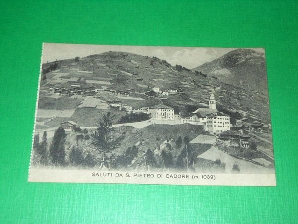 Cartolina Saluti da S. Pietro di Cadore - Panorama 1920 … | Immagine Gallery 1