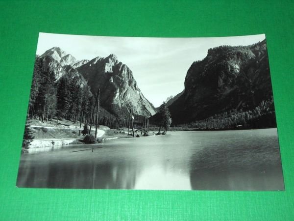 Cartolina Lago di Dobbiaco / Toblachersee - Veduta 1955 ca.