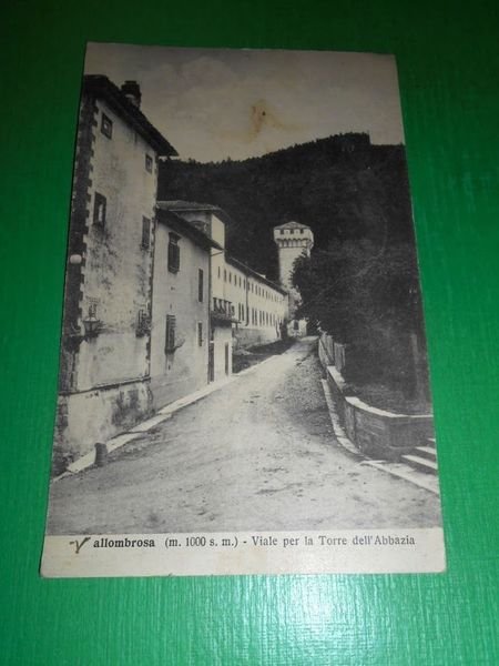 Cartolina Vallombrosa - Viale per la Torre dell' Abbazia 1932.