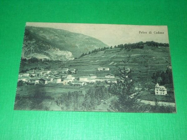 Cartolina Pelos di Cadore ( Belluno ) - Panorama 1920 …