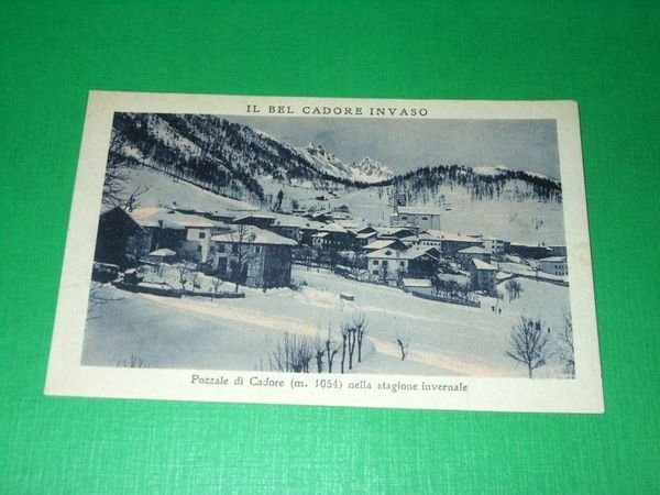 Cartolina Pozzale di Cadore - Scorcio panoramico 1920 ca.
