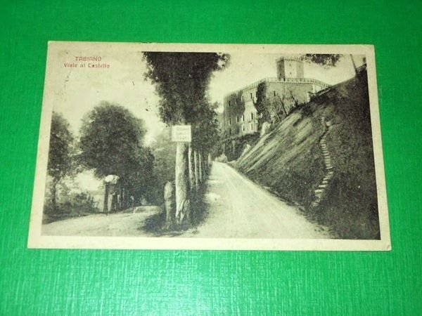Cartolina Tabiano - Viale al Castello 1923.