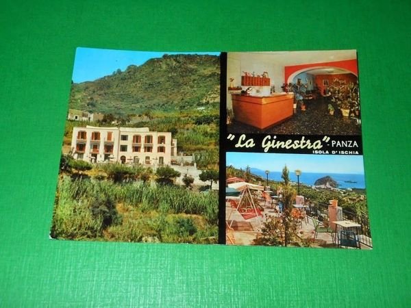Cartolina Isola d' Ischia - Panza - La Ginestra 1960 …