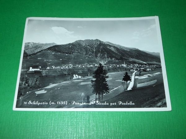Cartolina Schilpario - Panorama - Strada per Pradella 1955 | Immagine principale