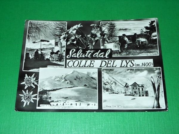 Cartolina Saluti dal Colle del Lys - Vedute diverse 1963.