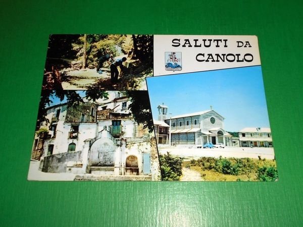 Cartolina Saluti da Canolo ( Reggio Calabria ) - Vedute …