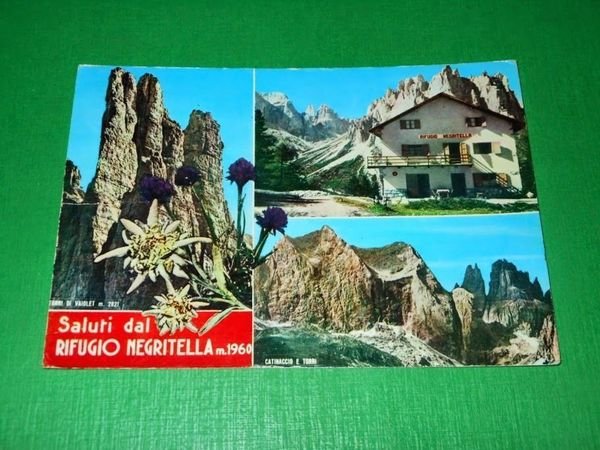 Cartolina Saluti dal Rifugio Negritella - Vedute diverse 1967.
