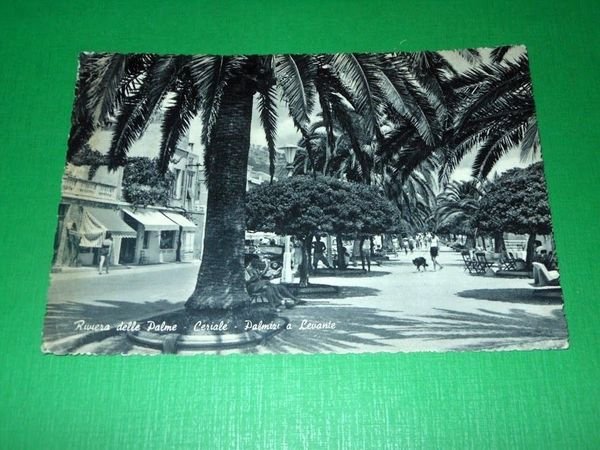 Cartolina Riviera delle Palme - Ceriale - Palmizi a levante …