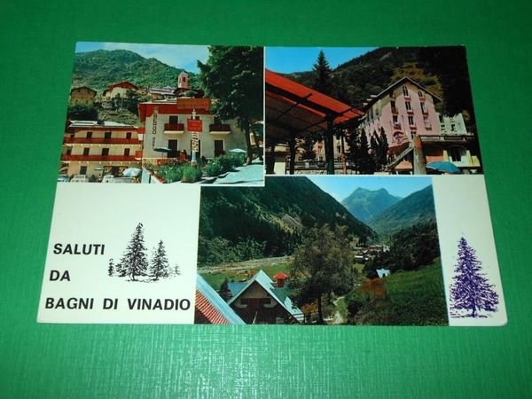 Cartolina Saluti da Bagni di Vinadio ( Cuneo ) - …