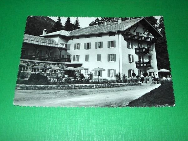 Cartolina Sella - Borgo Valsugana - Hotel Val Paradiso 1955.