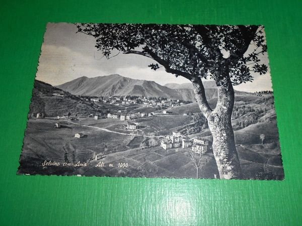 Cartolina Selvino con Ama - Panorama 1959.
