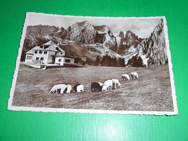 Cartolina Gruppo del Catinaccio - Rifugio Ciampedie 1950.