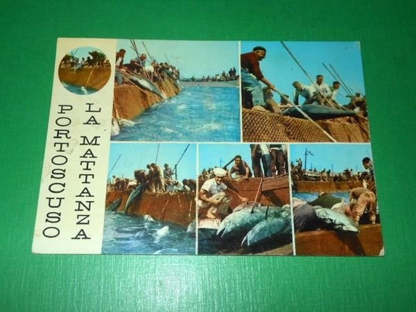 Cartolina Portoscuro - La Mattanza - Vedute diverse 1965 ca.