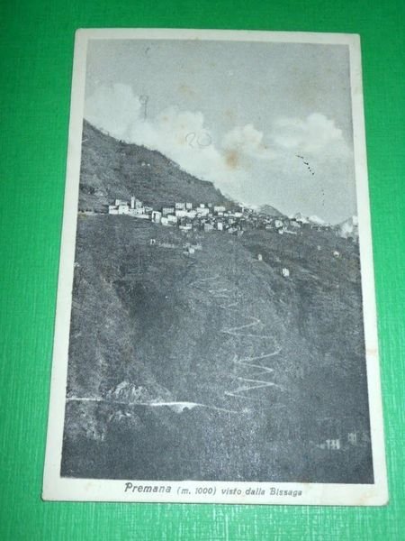 Cartolina Premana ( Lecco ) - Panorama visto dalla Bissaga …